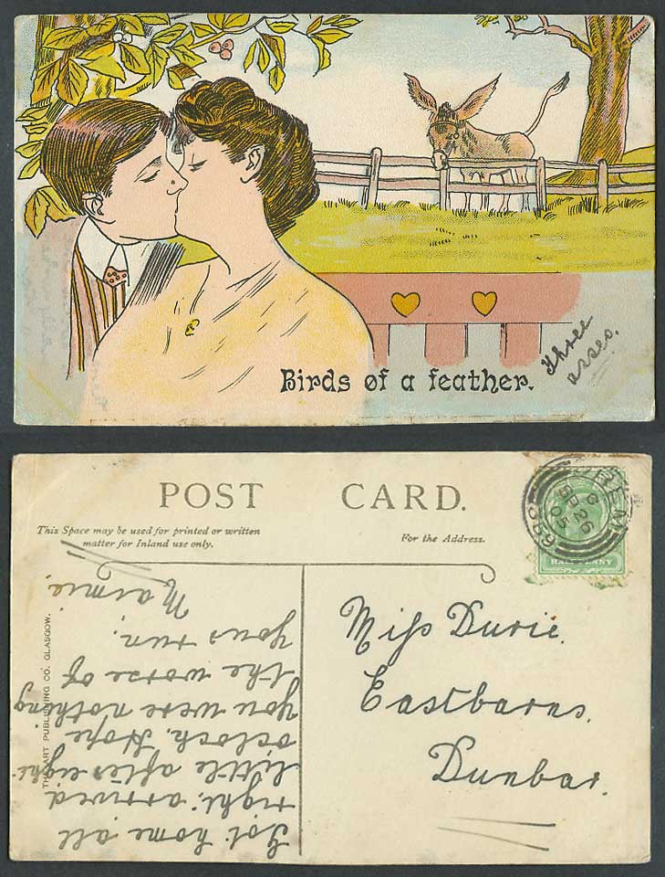 Birds of a Feather, Donkey 1905 Old Postcard Romance, Man and Woman Lady Kissing