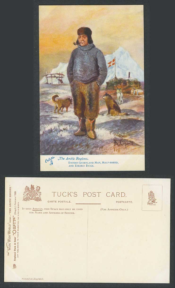 Arctic Danish Greenland Man Half-Breed Eskimo Dogs A. Operti Old Tuck's Postcard
