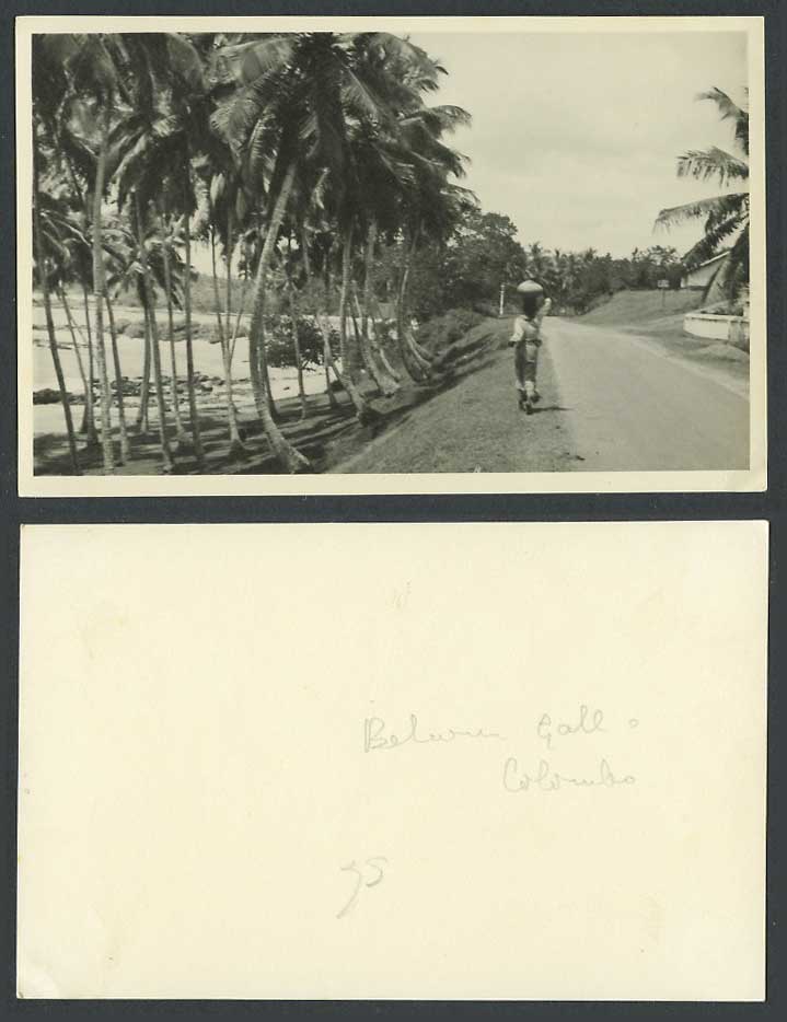Ceylon Old Real Photo Card Road Street Scene Between Galle and Colombo Palm Tree