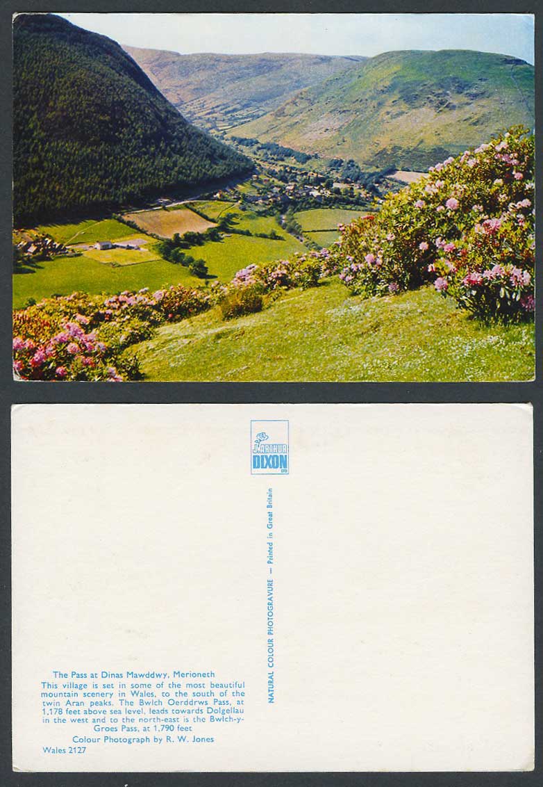 Merioneth, The Pass at Dinas Mawddwy, Village, South of Twin Aran peaks Postcard