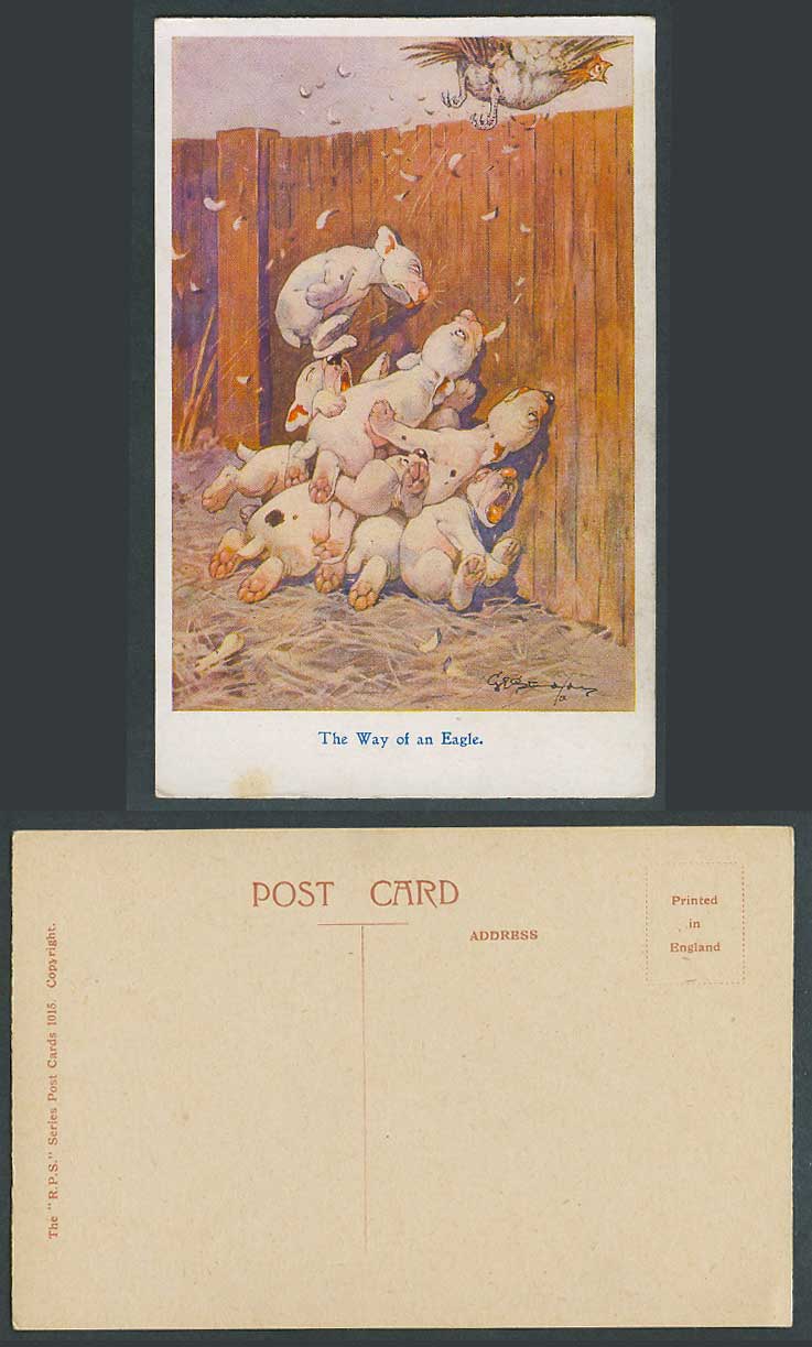 BONZO DOG GE Studdy Old Postcard The Way of an Eagle a Chicken Running Away 1015