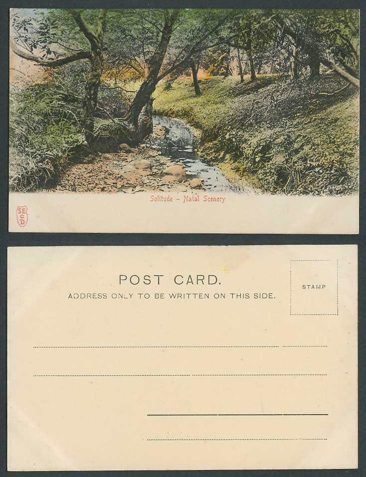 South Africa Old Hand Tinted Postcard Solitude Natal Scenery, Stream River Scene