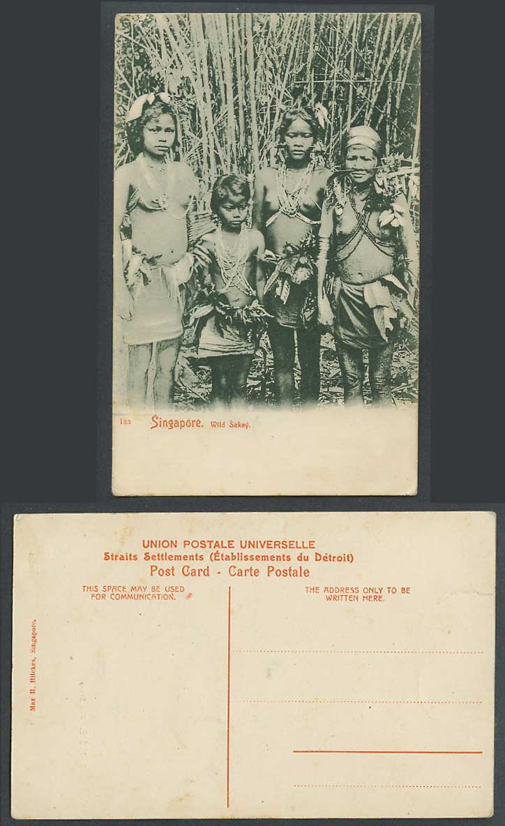 Singapore, Wild Sakey Sakai Sakais Women Girl Natives Nose Piercing Old Postcard