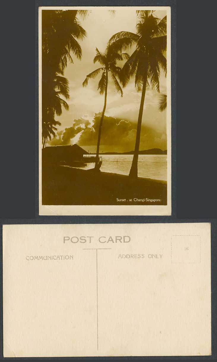 Singapore Old Real Photo Postcard Sunset at Changi, Palm Trees, Seaside Panorama