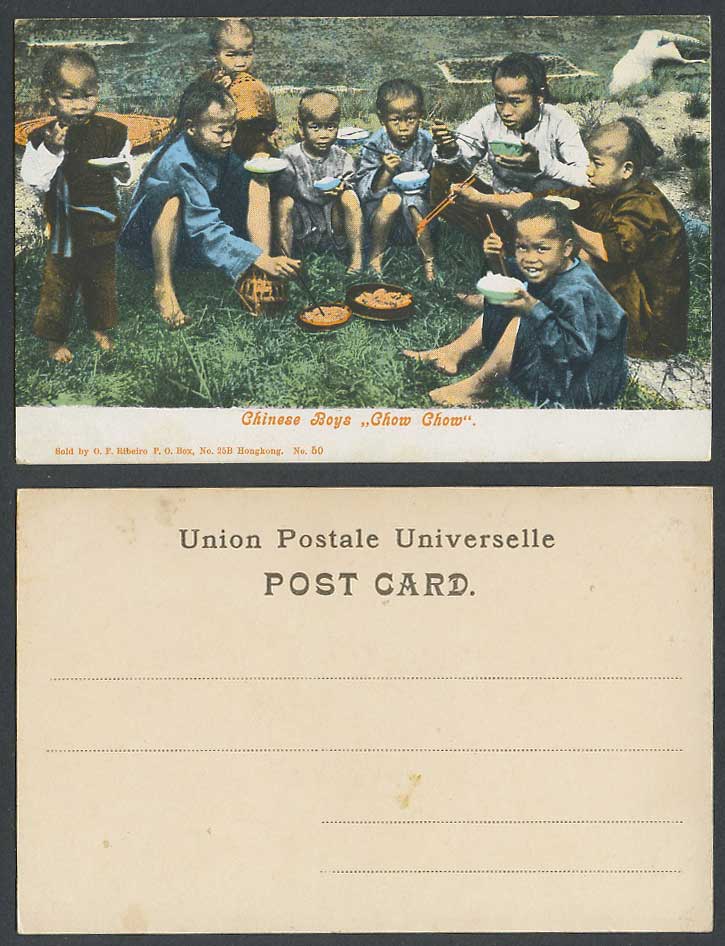 Hong Kong China Old Colour UB Postcard Chinese Boys Chow Chow on Hillside, Bowls