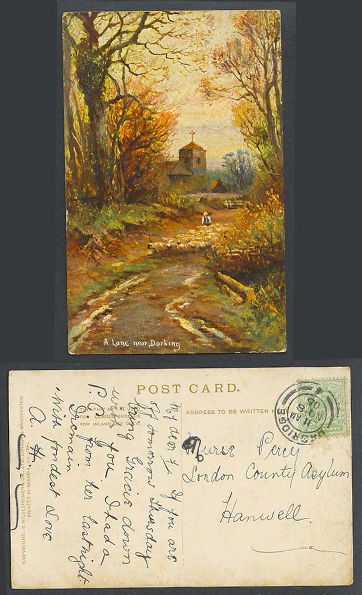 Surrey A Lane near Dorking, Sheep Shepherd Artist Drawn 1905 Old Colour Postcard