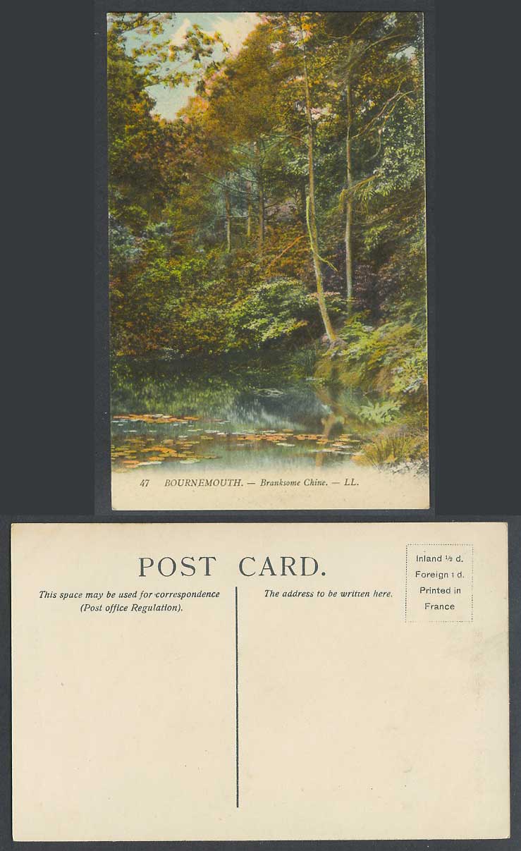 Bournemouth Dorset Old Colour Postcard Branksome Chine River Scene Trees L.L. 47