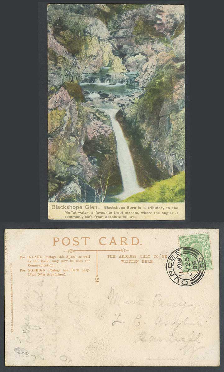 Blackshope Glen Waterfall Moffat Water Trout Stream Rocks 1905 Old Postcard