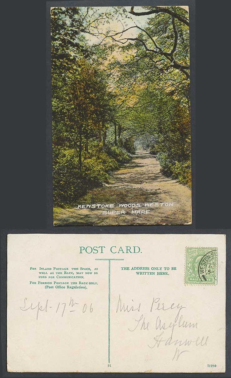 Kewstoke Woods, Weston Super Mare, Somerset 1906 Old Colour Postcard Forest Road