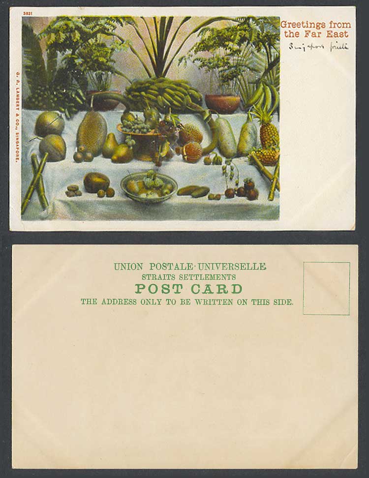 Singapore Old UB Postcard Greetings from The Far East, Fruits Sugar Apple Durian