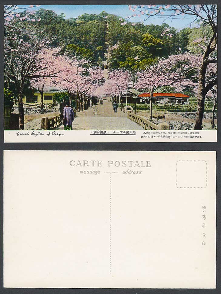 Japan Old Postcard Beppu Hot Spring Resort Street Cherry Blossoms TRAM Mt 別府 乙原山