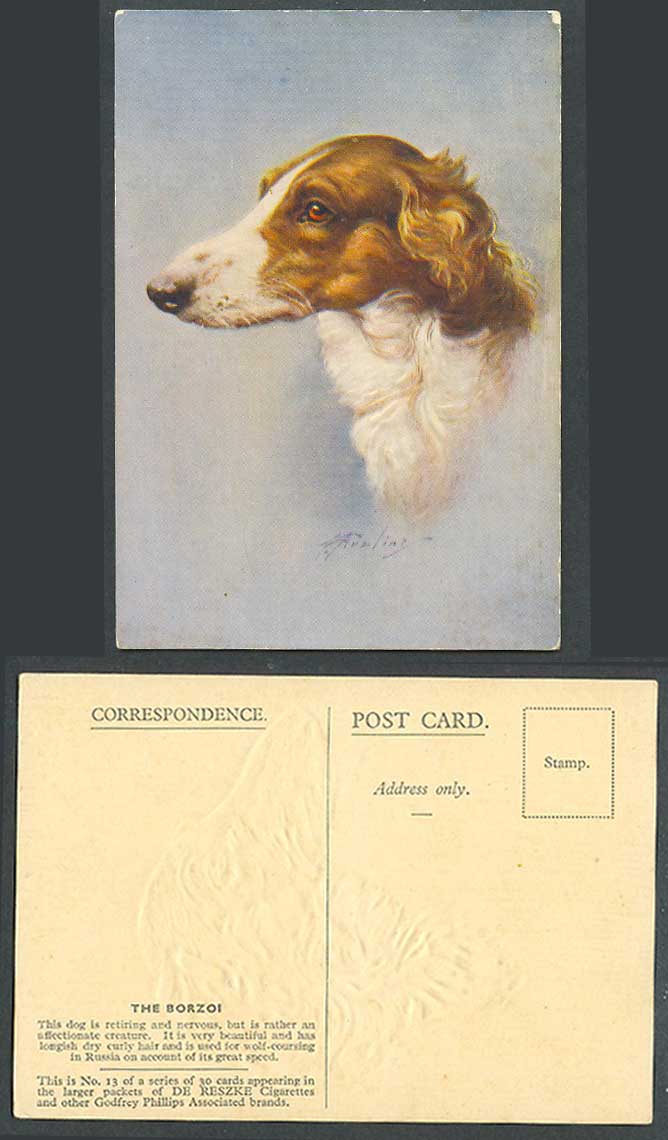 The Borzoi Dog, for Wolf-Coursing in Russia DE RESZKE Cigarettes 13 Old Postcard