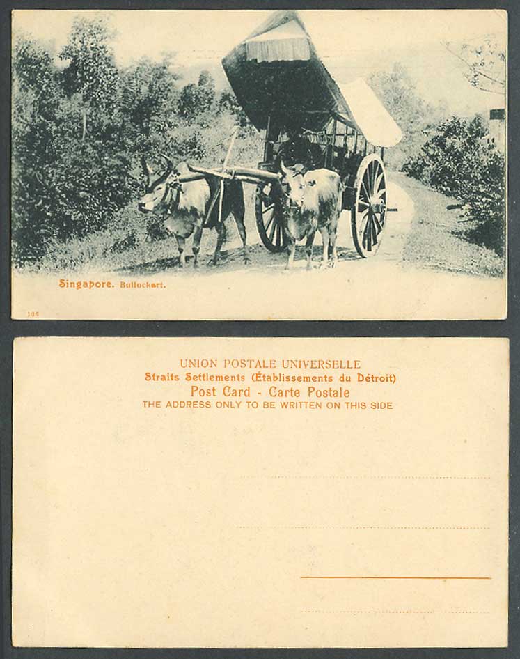Singapore Old Postcard Native Double Bullock Cart Bullockart Cattle Oxen Animals