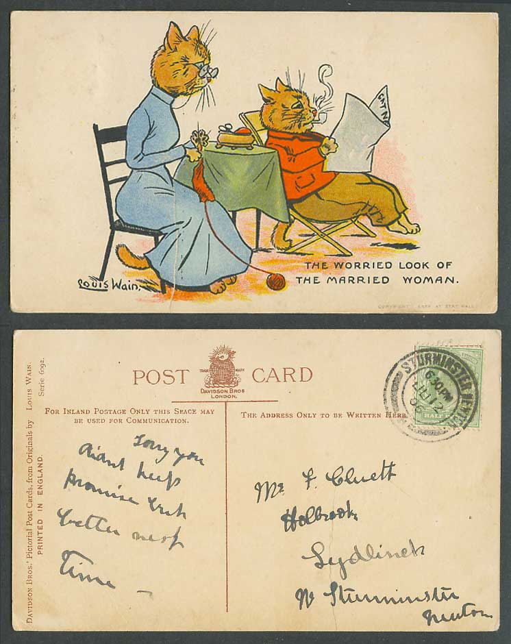 Louis Wain Artist Signed Cat The Worried Look of Married Woman 1906 Old Postcard