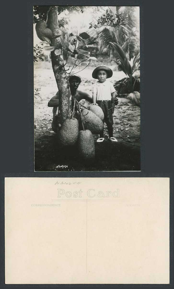 Sarawak Malaya Malay Old Real Photo Postcard Nangka, Jackfruit Jack Tree Boy Man