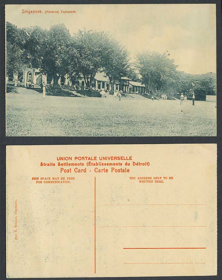 Malacca Esplanade Cricket Game Players Sport Sports Trees Singapore Old Postcard