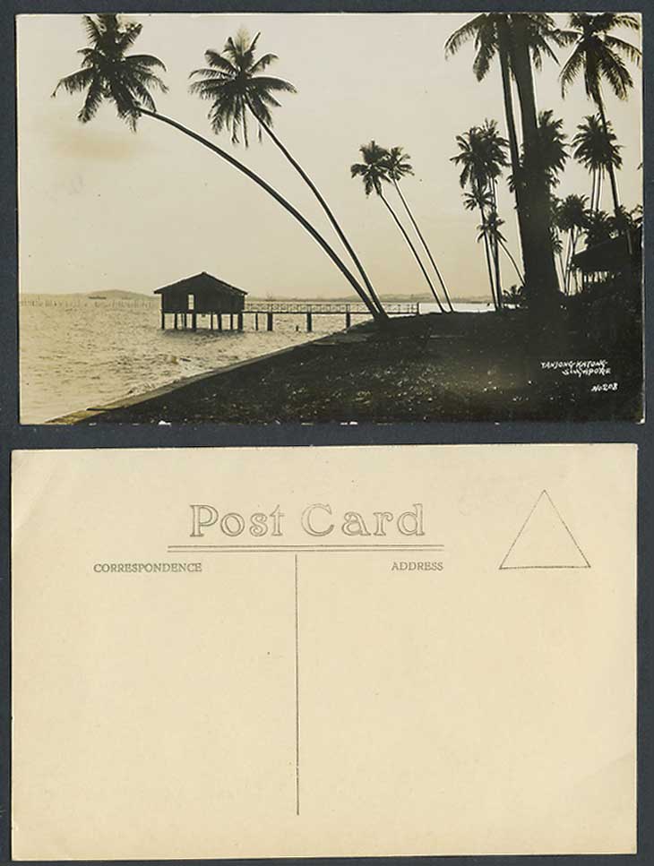Singapore Old Real Photo Postcard Tanjong Katong Katon Pier Jetty Palm Trees 208
