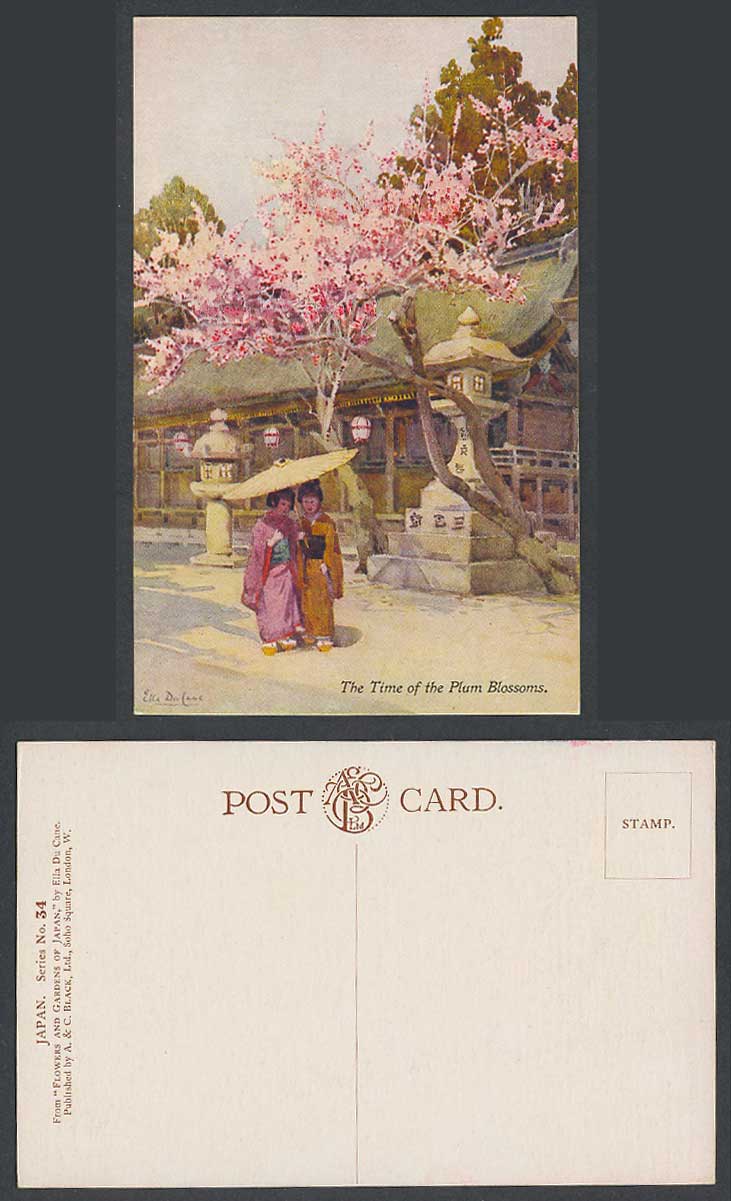 Japan Ella Du Cane Old Postcard Time of Plum Blossoms Geisha Girls Flowers Gdns.