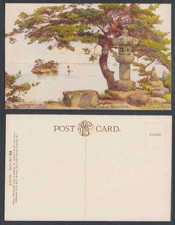 Japan Ella du Cane Artist Signed Old Postcard Pine Tree at Matsushima Lantern 34