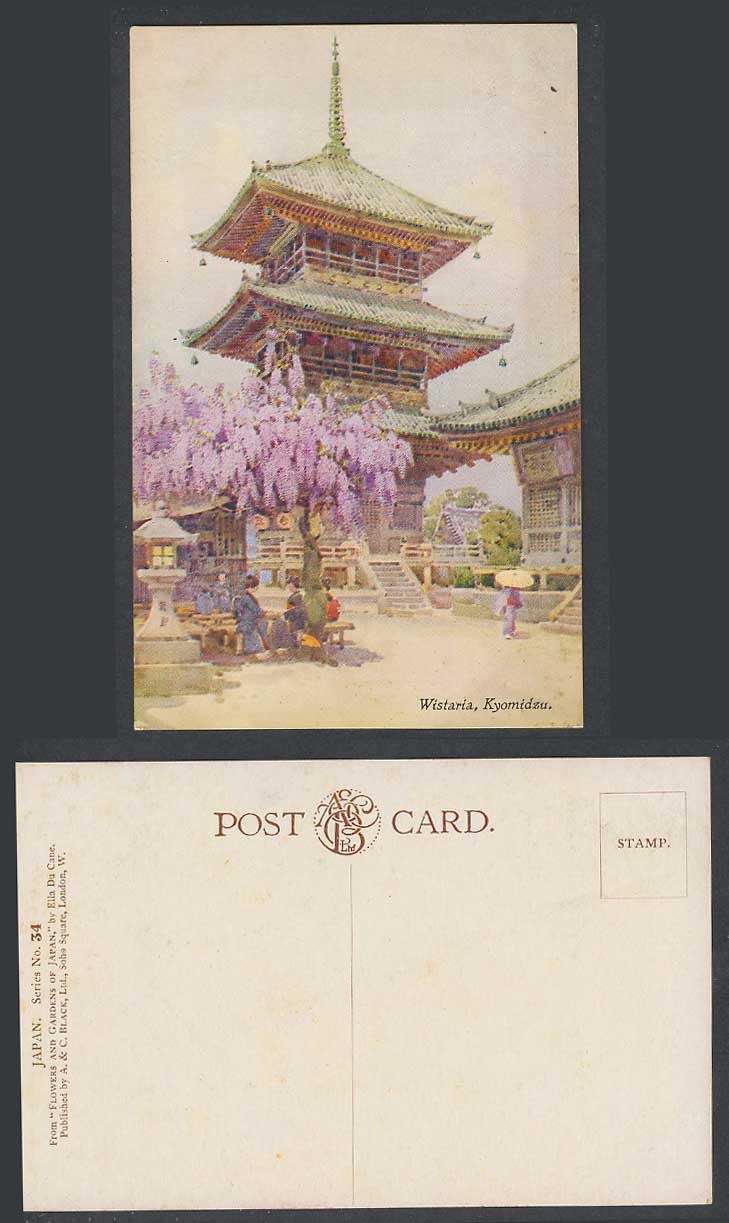 Japan Ella du Cane Old ART Postcard Wistaria, Kyomidzu Temple Pagoda Blossoms 紫藤