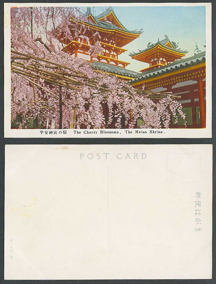 Japan Old Postcard Cherry Blossoms The Heian Jingu Shrine Temple Kyoto 京都 平安神宮之櫻