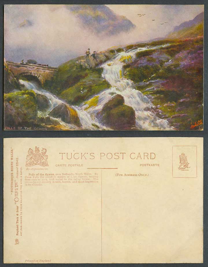 Falls of Ogwen Bethesda Wales Bridge Fishing Angling Old Tuck's Oilette Postcard