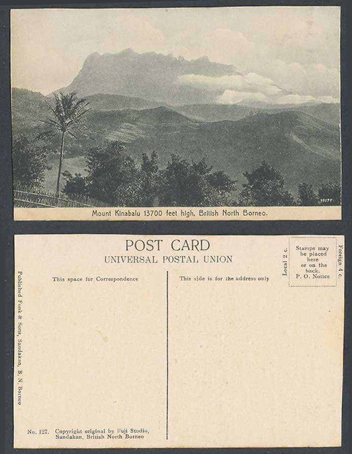 British North Borneo Old Postcard Mount Kinabalu 13700 feet, Mountains Palm Tree