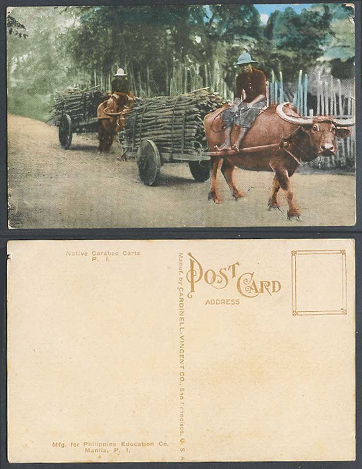 Philippines Old Colour Postcard Native Carabao Carts Water Buffalo Riders Street