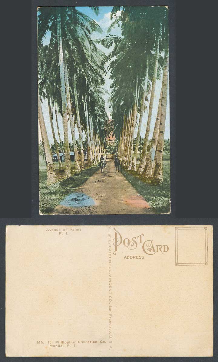 Philippines Old Colour Postcard Avenue of Palms, Palm Trees & Donkey Riders P.I.