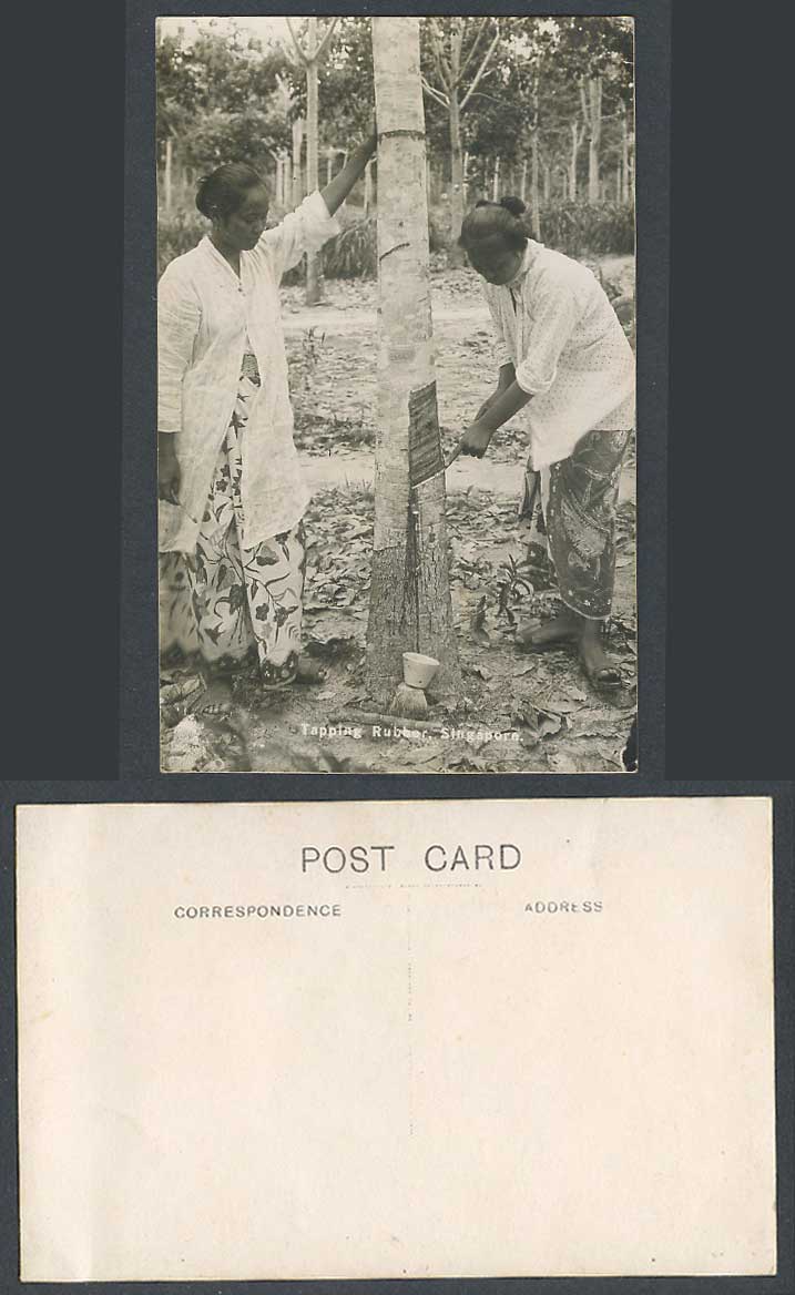 Singapore Old Real Photo Postcard Native Malay Tapper Women Tapping Rubber Trees