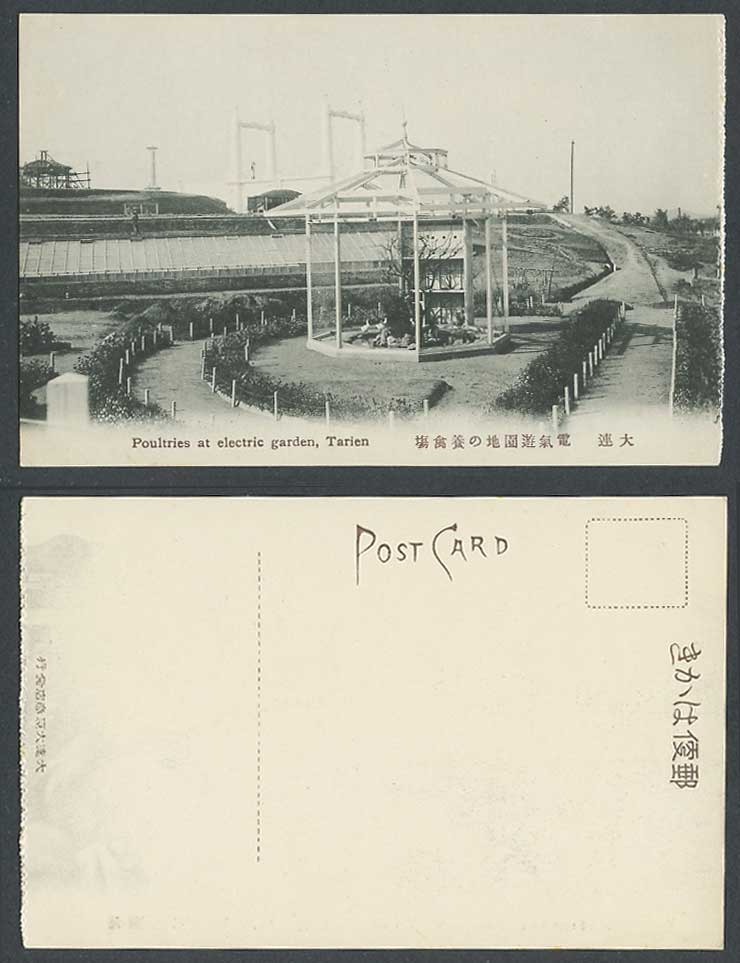 China Old Postcard Poultry Farm, Poultries at Dairen Electric Garden 大連電氣遊園地之養禽場