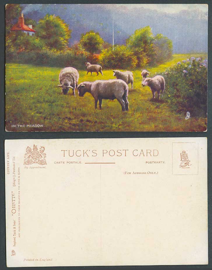 SHEEP Animals In The Meadows, Tuck's Oilette Country Life Old Art Drawn Postcard