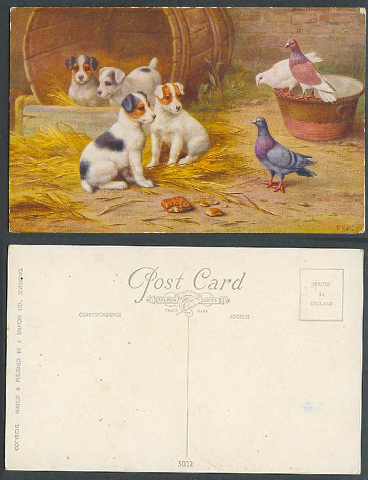 E. Hunt Artist Signed Old Postcard Dog Puppy Dogs Puppies, Pigeon Pigeons, Birds