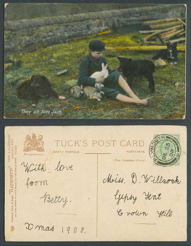 Tuck's Pets & Playmates, Rabbits Dogs They All Love Jack, Xmas 1908 Old Postcard
