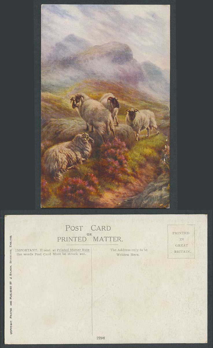 Artist Signed Old Postcard Sheep Mountain Goats Animals Rocks Flowers, J. Salmon