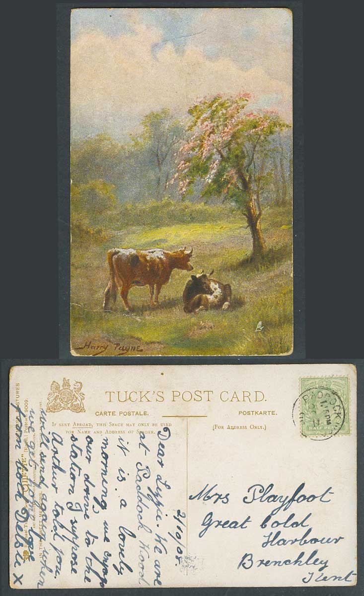 Harry Payne 1908 Old Postcard Tuck's Oilette Kent Pastures Cow, In Sweet Meadows