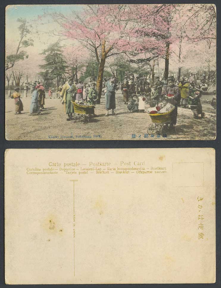 Japan Old Hand Tinted Postcard Cherry Blossoms, Yokohama Park, Pushchairs 橫濱公園 櫻