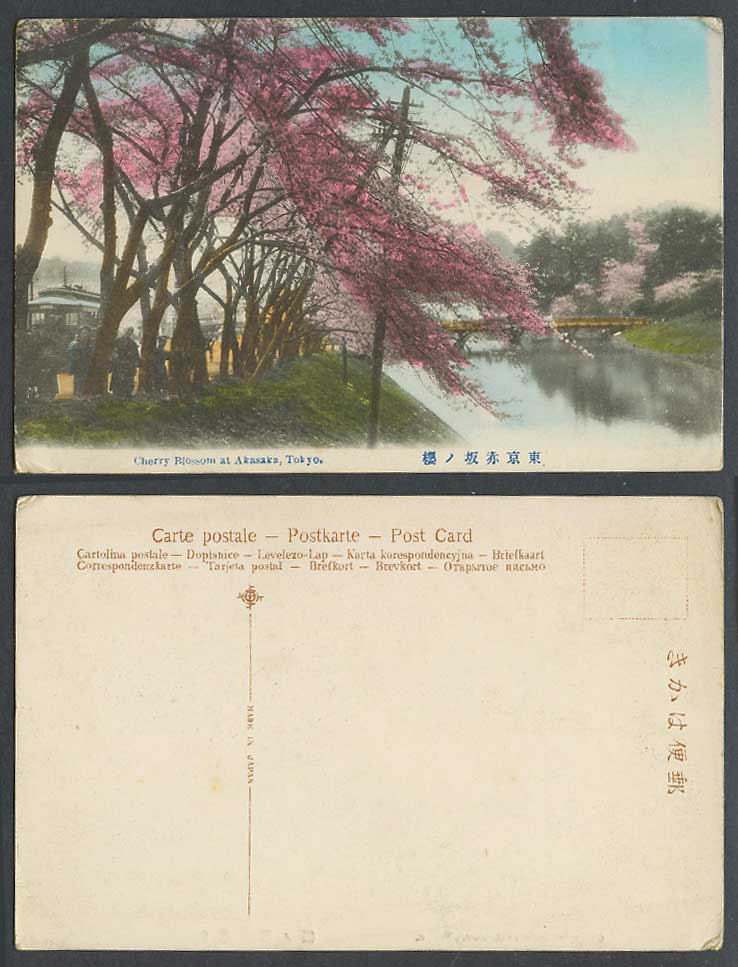 Japan Old Hand Tinted Postcard Cherry Blossoms Akasaka Tokyo Bridge River 赤坂 辨慶橋