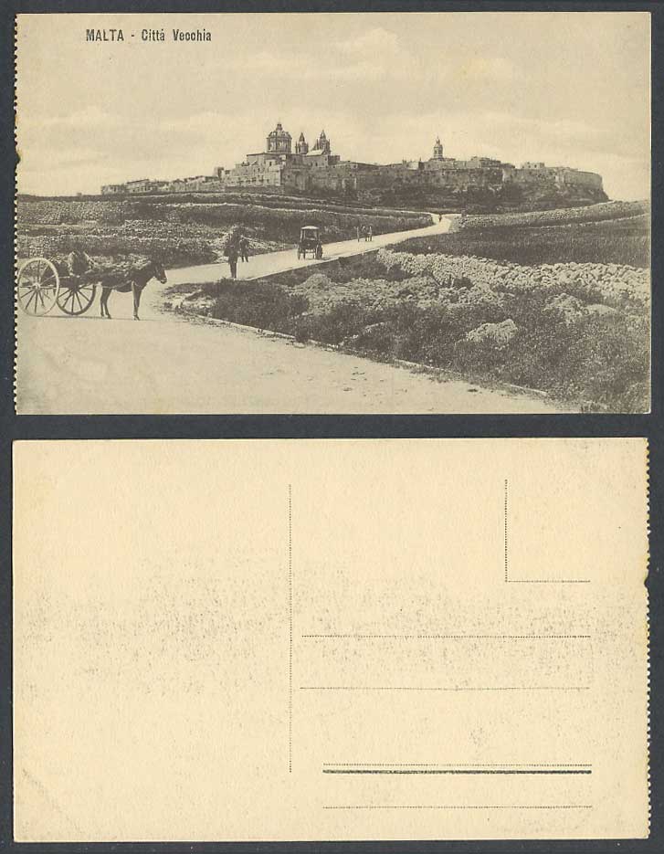 Malta Vintage Postcard Citta Vecchia The Old City Panorama Donkey Carts Panorama