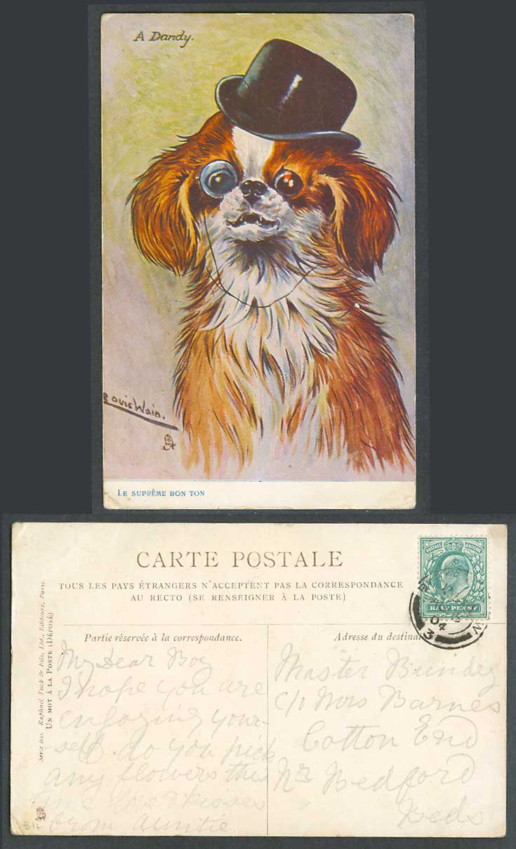 Louis Wain Artist Signed Dog Puppy, A Dandy 1904 Old Postcard Le Supreme Bon Ton