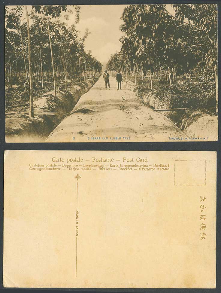 Penang Old Postcard 3 Years Old Rubber Tree Trees 2 Men Bridges Malay Plantation