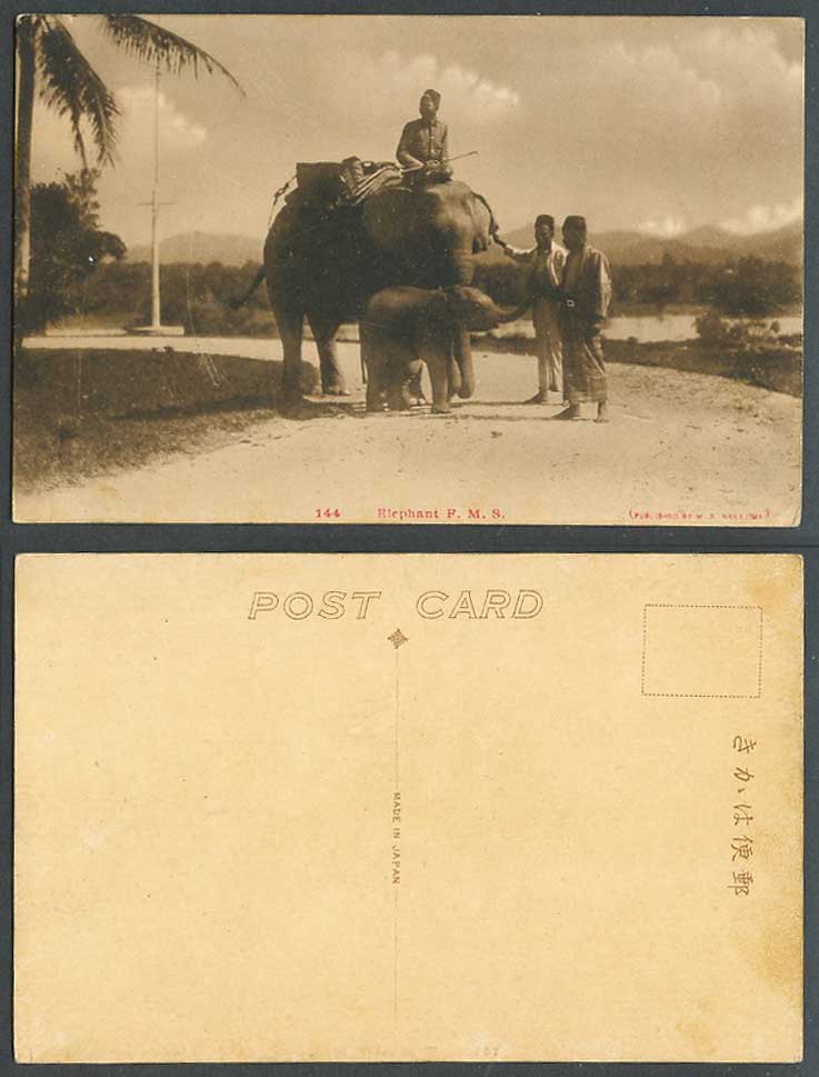 Federated Malay States Elephants Baby Cub Elephant Rider Men F.M.S. Old Postcard