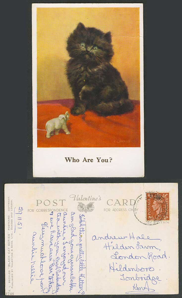 E.L. Beckles Black Cat Kitten Small White Elephant Who Are You 1951 Old Postcard