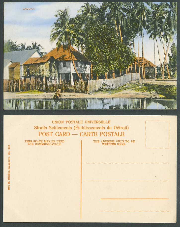 Labuan Old Colour Postcard Malay House Hut on Stilts, Palm Trees, Max H Hilckes