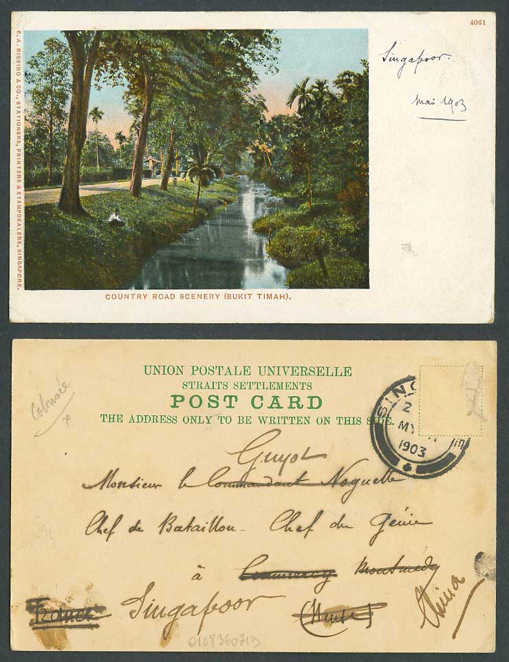 Singapore 1903 Old UB Postcard Bukit Timah Country Road Scenery River Scene Palm