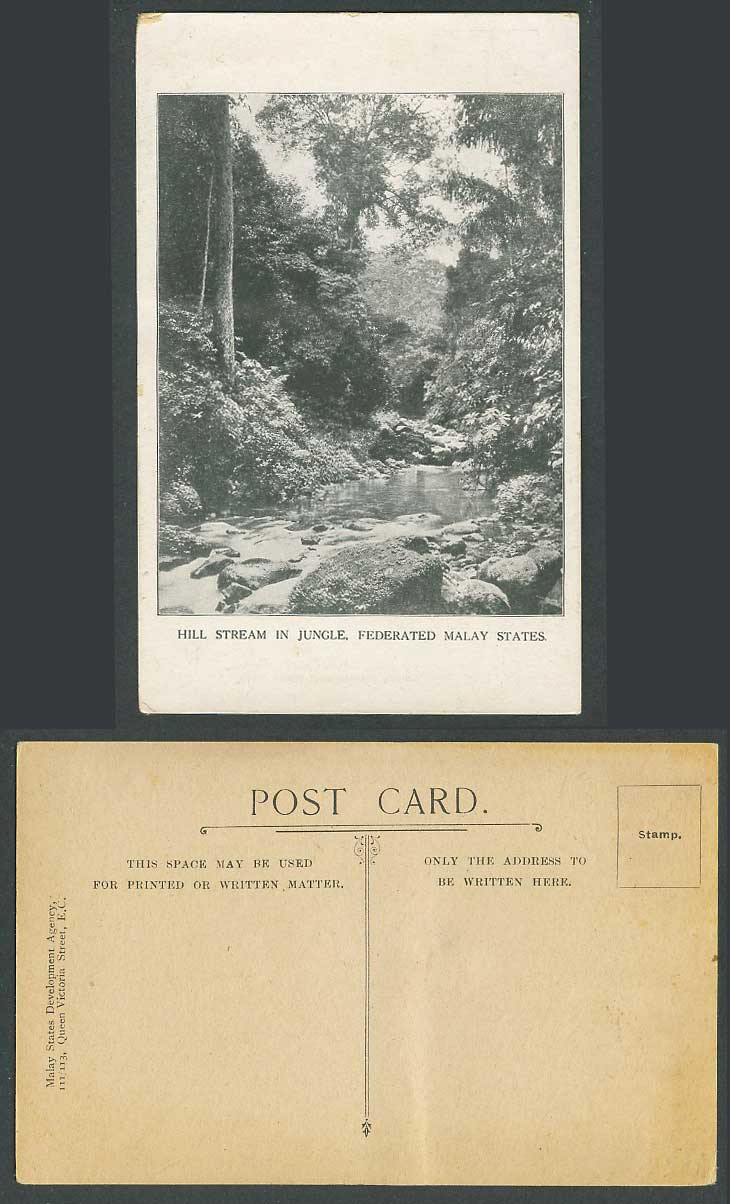Singapore Old Postcard Hill Stream in Jungle Federated Malay States F.M.S. River