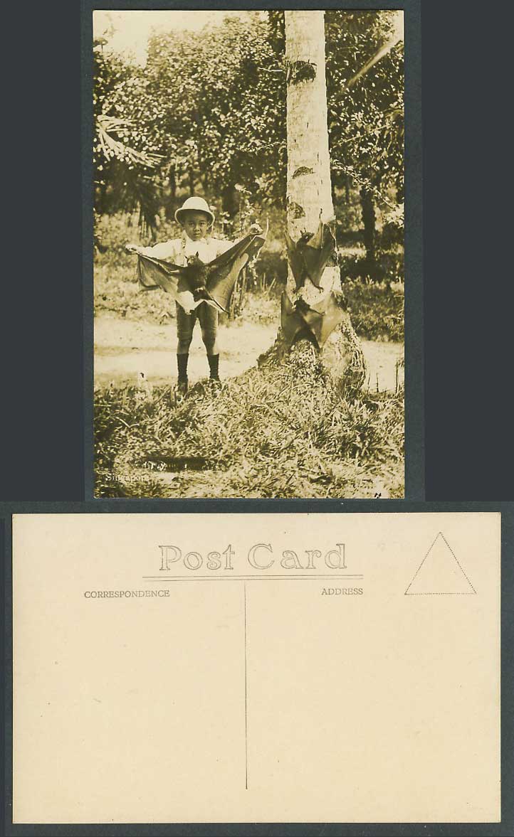 FLYING FOX BATS Singapore Native Malay Boy holding a BAT Old Real Photo Postcard