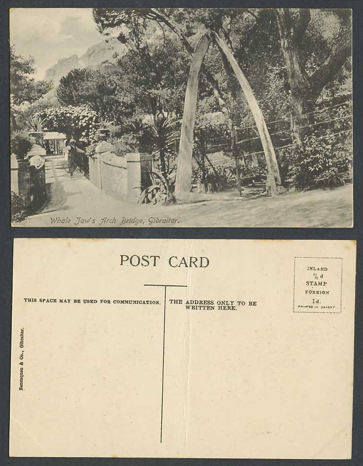 Gibraltar Old Postcard Whale Jaw's Arch Bridge, Alameda Gardens, Benzaquen & Co.