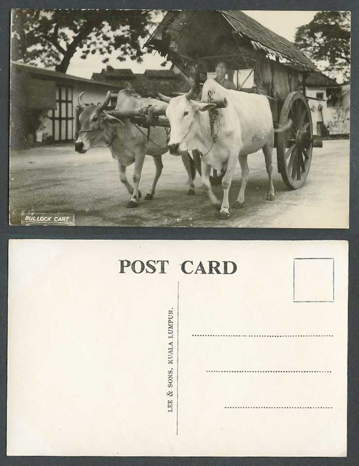 Kuala Lumpur Old Real Photo Postcard Double Bullock Cart Driver Man Street Scene