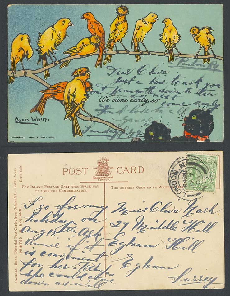 Louis Wain Artist Signed Cats Bird We Dine Early so Write Away 1905 Old Postcard